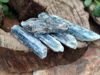 Natural Kyanite Crystals x 1.95 Kg Lot From Karoi, Zimbabwe