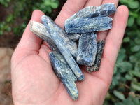 Natural Kyanite Crystals x 1.95 Kg Lot From Karoi, Zimbabwe