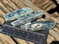 Natural Kyanite Crystals x 1.95 Kg Lot From Karoi, Zimbabwe