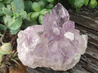 Natural Jacaranda Amethyst Quartz Clusters x 3 From Mumbwa, Zambia