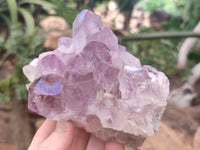 Natural Jacaranda Amethyst Quartz Clusters x 3 From Mumbwa, Zambia