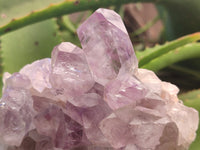 Natural Jacaranda Amethyst Quartz Clusters x 3 From Mumbwa, Zambia