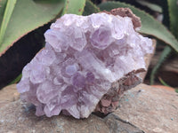 Natural Jacaranda Amethyst Quartz Clusters x 3 From Mumbwa, Zambia