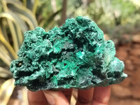 Natural Silky Malachite Specimens x 9 From Kasompe, Congo