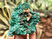 Natural Silky Malachite Specimens x 9 From Kasompe, Congo