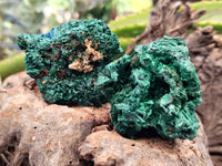 Natural Silky Malachite Specimens x 9 From Kasompe, Congo