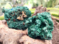 Natural Silky Malachite Specimens x 9 From Kasompe, Congo