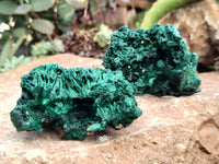 Natural Silky Malachite Specimens x 9 From Kasompe, Congo