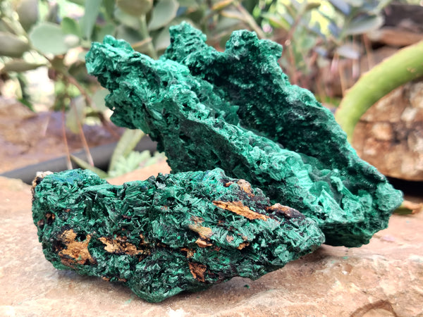 Natural Silky Malachite Specimens x 9 From Kasompe, Congo