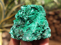 Natural Silky Malachite Specimens x 9 From Kasompe, Congo