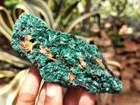 Natural Silky Malachite Specimens x 9 From Kasompe, Congo