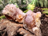 Natural Ametrine Spirit Quartz Clusters x 6 From Boekenhouthoek, South Africa