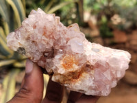 Natural Ametrine Spirit Quartz Clusters x 6 From Boekenhouthoek, South Africa