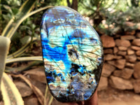 Polished Labradorite Standing Free Forms x 2 From Tulear, Madagascar