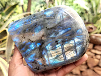 Polished Labradorite Standing Free Forms x 2 From Tulear, Madagascar