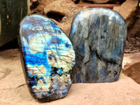 Polished Labradorite Standing Free Forms x 2 From Tulear, Madagascar