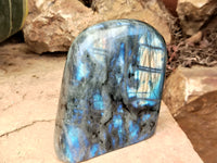 Polished Labradorite Standing Free Forms x 2 From Tulear, Madagascar