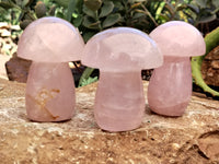 Polished Rose Quartz Mushrooms x 6 From Ambatondrazaka, Madagascar