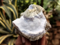 Natural Blue Lace Agate Geode Specimens x 12 From Nsanje, Malawi