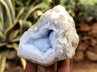 Natural Blue Lace Agate Geode Specimens x 12 From Nsanje, Malawi