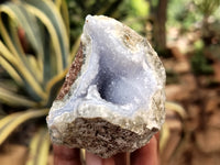 Natural Blue Lace Agate Geode Specimens x 12 From Nsanje, Malawi