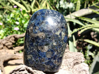 Polished Iolite Standing Free Forms x 2 From Ambatofinandrahana, Madagascar