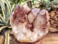 Natural Red Hematoid Quartz Cluster x 1 From Karoi, Zimbabwe