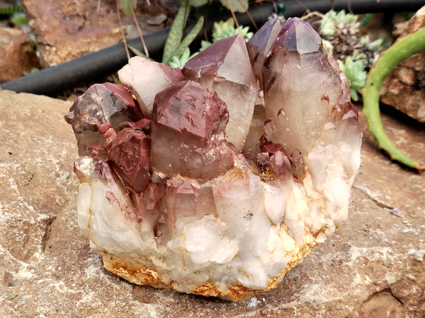 Natural Red Hematoid Quartz Cluster x 1 From Karoi, Zimbabwe