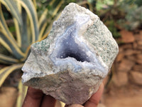 Natural Blue Lace Agate Geode Specimens x 12 From Nsanje, Malawi