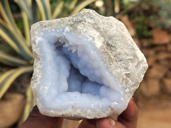 Natural Blue Lace Agate Geode Specimens x 12 From Nsanje, Malawi