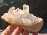 Natural Clear Quartz Clusters x 7 from Madagascar