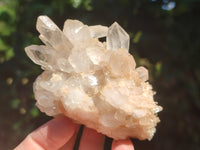 Natural Clear Quartz Clusters x 7 from Madagascar