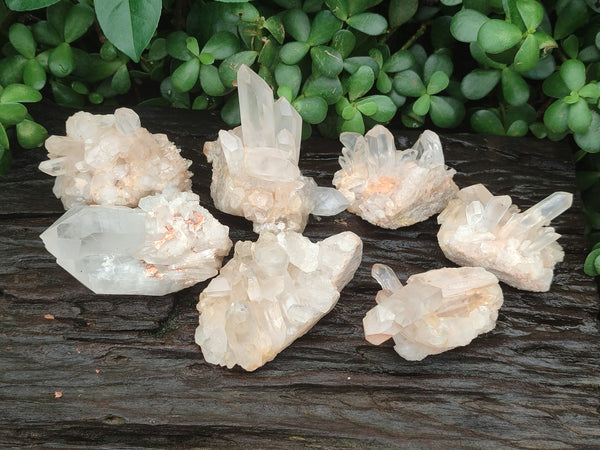 Natural Clear Quartz Clusters x 7 from Madagascar