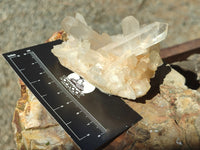 Natural Clear Quartz Clusters x 7 from Madagascar