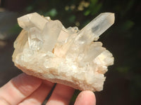 Natural Clear Quartz Clusters x 7 from Madagascar