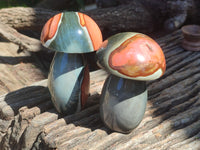 Polished Polychrome Jasper Mushrooms x 6 From Mahajanga, Madagascar