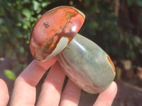 Polished Polychrome Jasper Mushrooms x 6 From Mahajanga, Madagascar