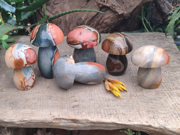 Polished Polychrome Jasper Mushrooms x 6 From Mahajanga, Madagascar