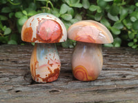 Polished Polychrome Jasper Mushrooms x 6 From Mahajanga, Madagascar