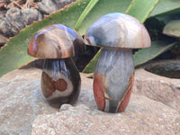 Polished Polychrome Jasper Mushrooms x 6 From Mahajanga, Madagascar