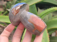 Polished Polychrome Jasper Mushrooms x 6 From Mahajanga, Madagascar