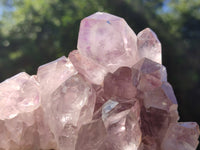 Natural Jacaranda Amethyst Quartz Clusters x 3 From Mumbwa, Zambia