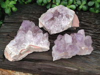 Natural Jacaranda Amethyst Quartz Clusters x 3 From Mumbwa, Zambia