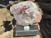 Natural Jacaranda Amethyst Quartz Clusters x 3 From Mumbwa, Zambia