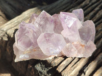 Natural Jacaranda Amethyst Quartz Clusters x 3 From Mumbwa, Zambia