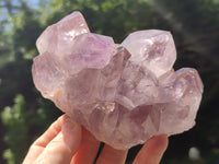 Natural Jacaranda Amethyst Quartz Clusters x 3 From Mumbwa, Zambia