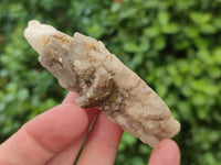 Natural Drusy Quartz Coated Calcite Pseudomorph Crystals x 20 From Lesotho