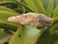 Natural Drusy Quartz Coated Calcite Pseudomorph Crystals x 20 From Lesotho