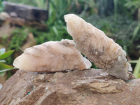 Natural Drusy Quartz Coated Calcite Pseudomorph Crystals x 20 From Lesotho