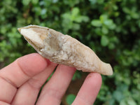 Natural Drusy Quartz Coated Calcite Pseudomorph Crystals x 20 From Lesotho